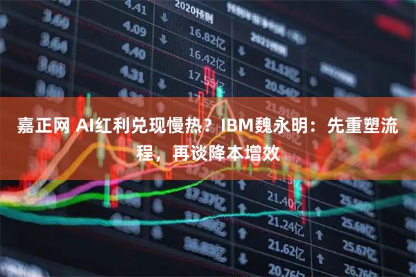 嘉正网 AI红利兑现慢热？IBM魏永明：先重塑流程，再谈降本增效