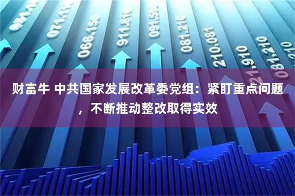 财富牛 中共国家发展改革委党组：紧盯重点问题，不断推动整改取得实效