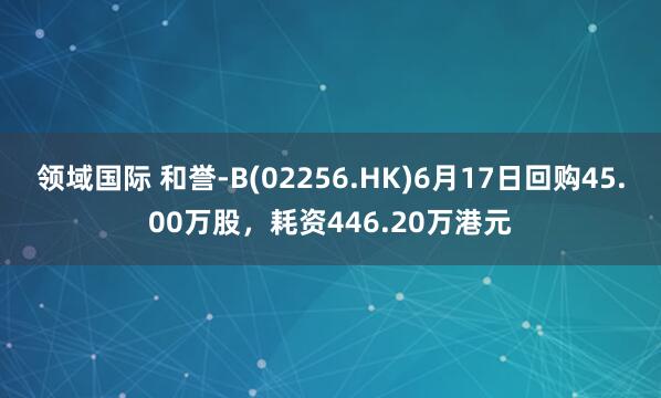 领域国际 和誉-B(02256.HK)6月17日回购45.00万股，耗资446.20万港元