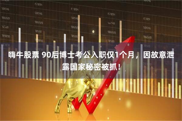 嗨牛股票 90后博士考公入职仅1个月，因故意泄露国家秘密被抓！