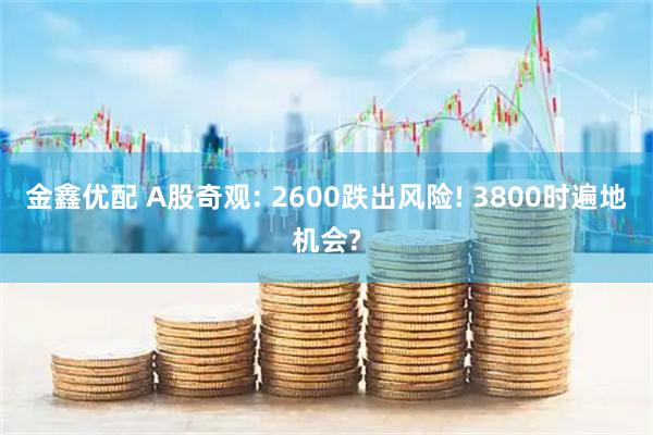 金鑫优配 A股奇观: 2600跌出风险! 3800时遍地机会?