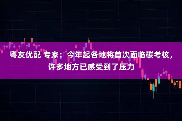 粤友优配 专家：今年起各地将首次面临碳考核，许多地方已感受到了压力