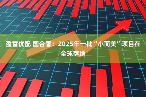 盈富优配 国合署:2025年一批“小而美”项目在全球落地